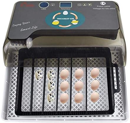 АЛРЕМО 103234536 Инкубатор За Јајца Автоматско Вртење За Пилешко Патка Гуска Птици Дигитален Хачер Контрола На Влажноста На Температурата
