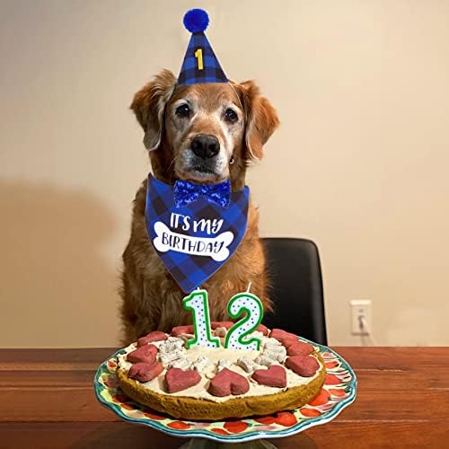 Петдекор куче за роденденска забава, карирано момче куче роденденска капа со броеви Тоа е моето роденденско кучиња кутре роденден
