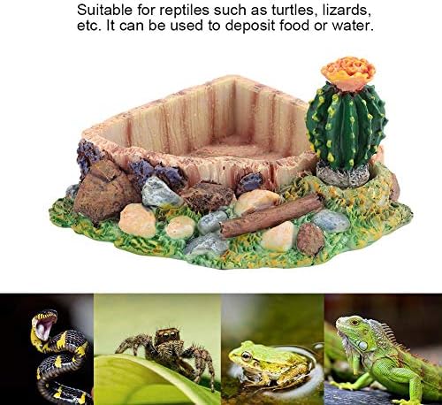 Yuehuam reptile резервоарот декор смола гуштер желка желка за хранење вода чинија чинија со кактус за гуштер, геко, вода жаба, други
