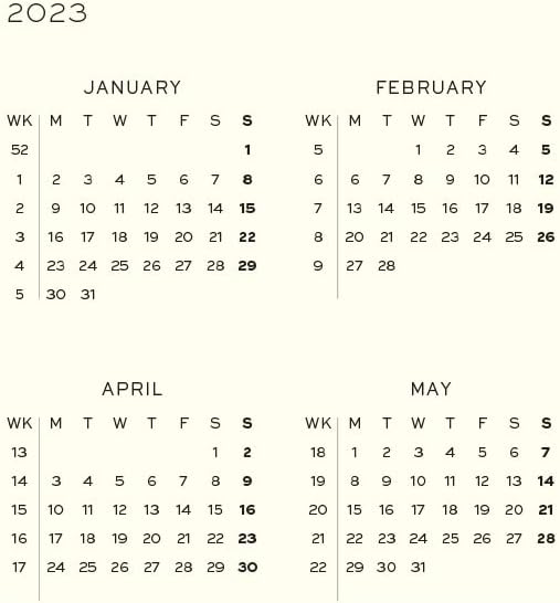 LEUCHTTURM1917 - Неделен Планер &засилувач; Лаптоп Медиум 2023 со дополнителни брошура, Црна