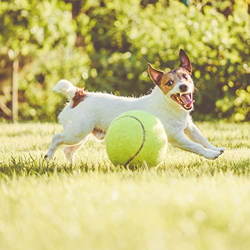 Пулебо Големо Тениско Топче За Кучиња-Џиновски Тениски Топчиња На Надувување Од 9,5 Инчи Големи Играчки За Миленичиња За Надворешни/Внатрешни