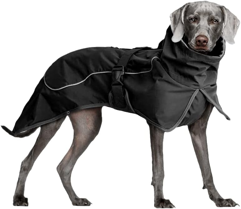 Зимска двојна слој кучиња јакна водоотпорна ветерна облека за миленичиња палто за средни големи кучиња затоплување црно xxl