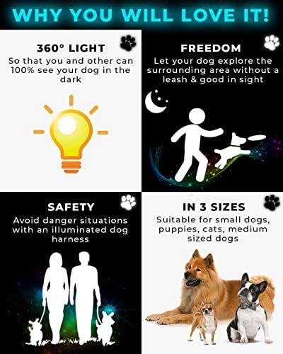 Целосна Површина 360° Осветлена Предводена Ремен За Кучиња Со Поводник | Развиена за Мали Кучиња &засилувач; Кученца | Достапна во 3 Големини-S/M/L