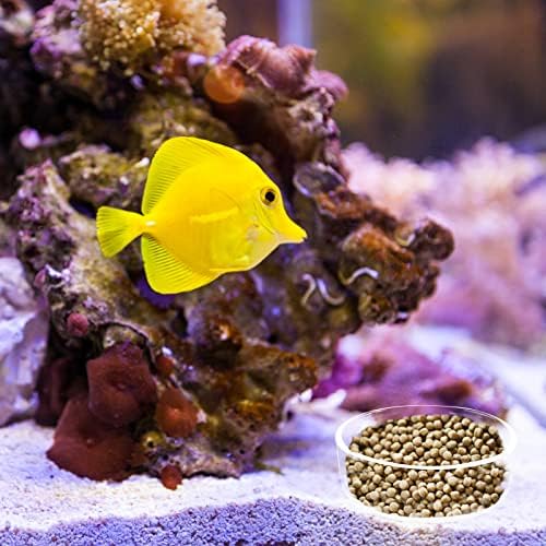 6 парчиња аквариум ракчиња за хранење стакло риба чиста мала чинија за хранење сад за храна, сад за миленичиња во вода чаша за хранење