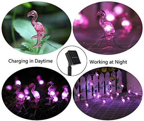 Hdnicezm Solar Outdoor Flamingo String Lights, 15,8 ft 30 LED соларни фламинго самовили 3 режими бакарна жица светла водоотпорна за градинарски