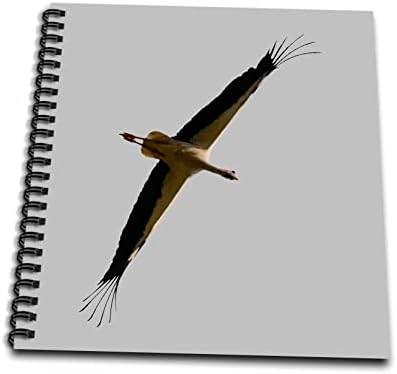 Лет на птици со вектор на 3Dorse Stork - Книги за цртање