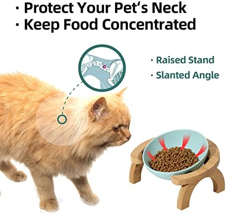 Havniva керамика мачка сад прилагодлива навалена мачка храна чинија чиста сад заштити го цервикалниот 'рбет подигната мачка чинија