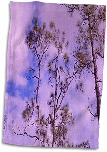 3drose Слика на Флорида Слаш борови со розово виолетово небо - крпи