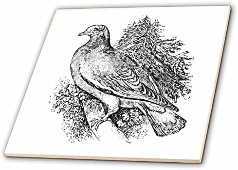 3дроза Гроздобер Дрво Гулаб Уметност Илустрација диви животни животни за птица љубовник-Плочки