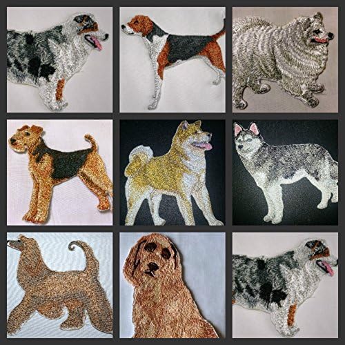 Неверојатни портрети за кучиња [Авганистански конус] Везење Ironon/Sew Patch [4,5 x 4,5] [Направено во САД]