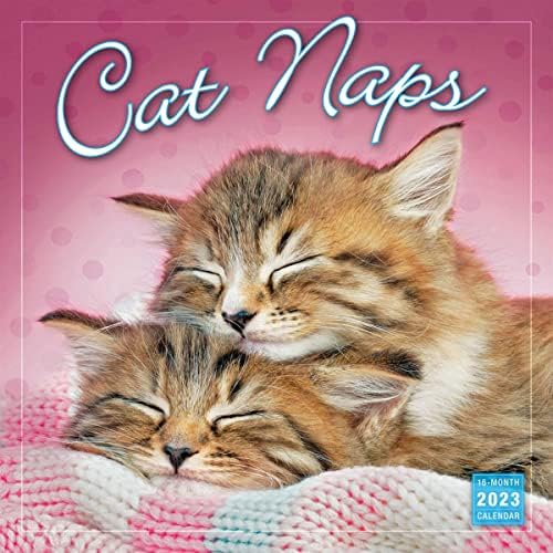 Cat Naps 2023 Wallиден календар, 16-месечен календар за мачки, 12 x 12