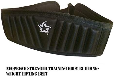 Поддршка за обука на сила за градење на телото на лаема за поддршка на тежината, фитнес -појас Ева 2