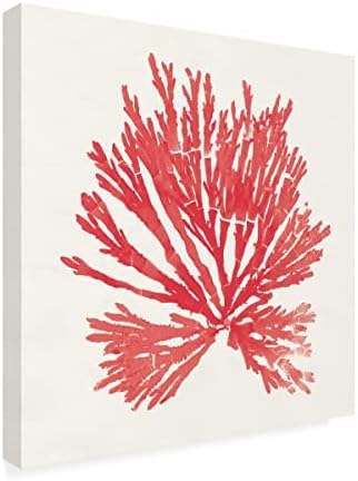 Трговска марка ликовна уметност „Пацифичко море мовс II црвена“ платно уметност од портфолио на диво јаболко 24х24