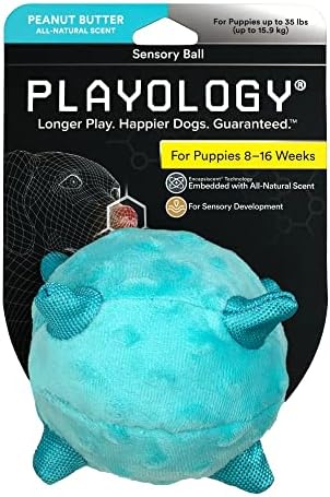 Играчки играчки за играчки за кученца, големи играчки за заби - џвакајте играчки со пискач за кученца 4-8 месеци - ангажирање