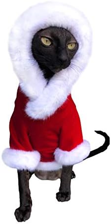 Котомода Сфинкс мачка Худи Санта Клаус гола мачка облека без влакна