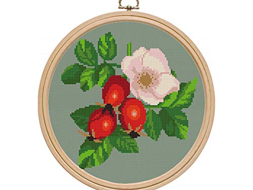Крстовид -бод модели Цвеќиња PDF/Floral Easy Cross Stitch Design Design за почетници/роза колк едноставен модерен преброен вкрстен