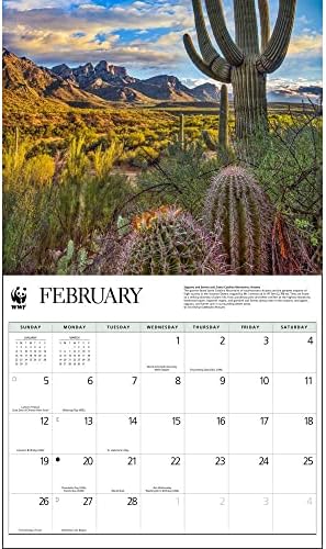 Календарско Мастило, Американски Пејзажи Wwf 2023 Ѕид Календар