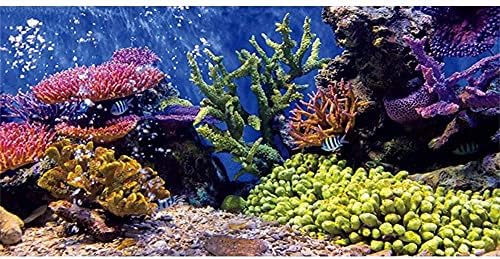 Awert винил аквариум декор позадина корална тропска риба подводна риба резервоар позадина 36x20 инчи