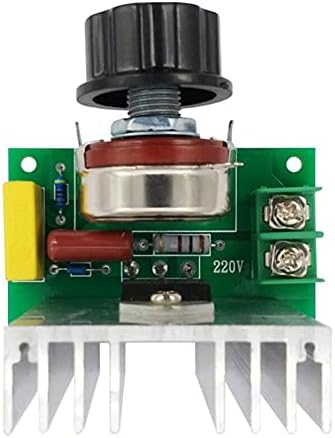 DJDLFA 4000W AC 220V Регулатор на напон на напон