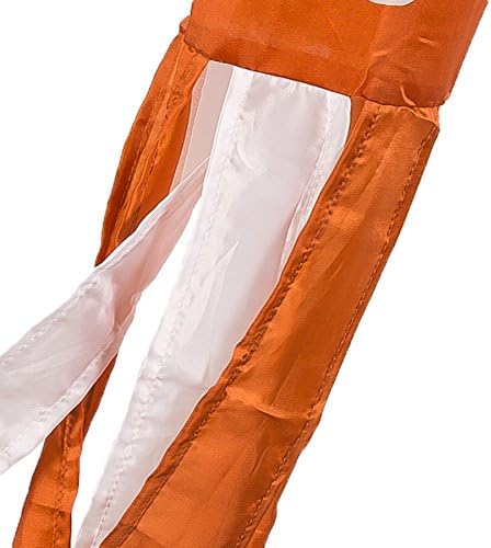 College Flags & Banners Co. Texas Longhorns Windsock