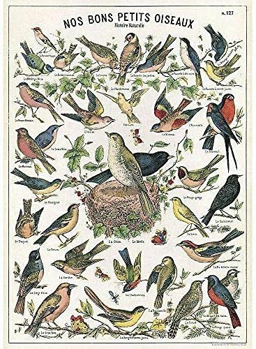 Декоративна хартија Кавалини- Табела за птици 20x28 инчен лист