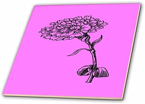 3дроза гроздобер Каранфил Ботаничка Линија Уметност Илустрација Црно Мастило-Плочки