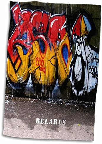 3Д роза слика на графити Вол Стрит уметност во Белорусија рачна крпа, 15 x 22, бело