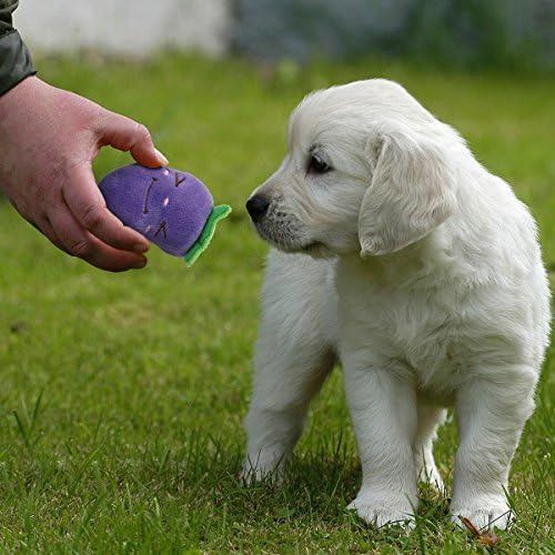 Уетек Писклив Куче Играчки За Мали Кучиња Овошје И Зеленчук Кадифен Кученце Куче Играчки