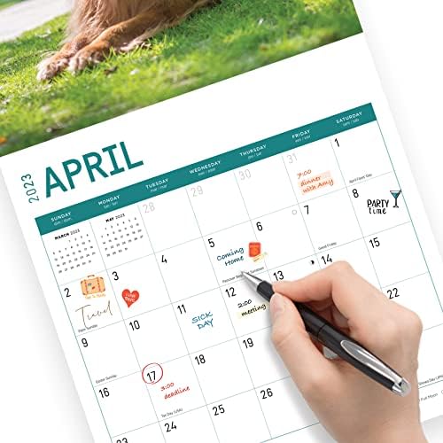 2023 Златен ретривери месечен налепница wallиден календар од светла ден, 12 x 12 инчи, симпатично кученце куче