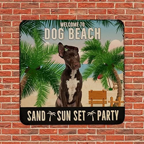 Смешно кучиња метални калај знак добредојде на кучиња плажа песок зајдисонце забава класична миленичиња кучиња врата закачалка