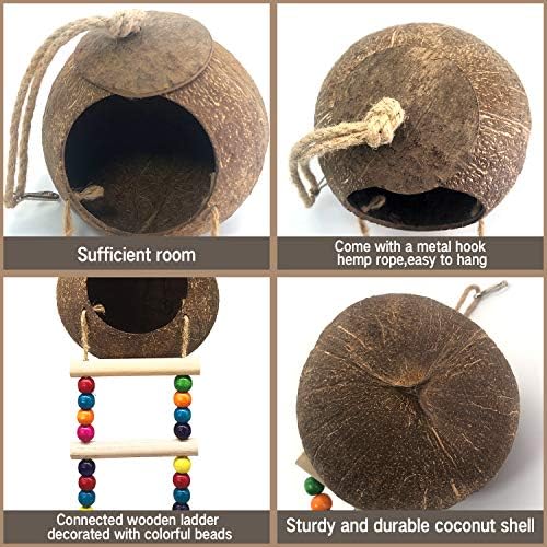 Виси куќа од кокосови птици со скала, природно кокосово влакна школка гнездо за папагал parakeet bубовница фина канари, кокос скриј