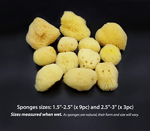 Природно море свилено сунѓери 12pk: големина 1,5 -3 како памучни топки, за козметичка употреба, апликација за шминка и отстранување, чистење